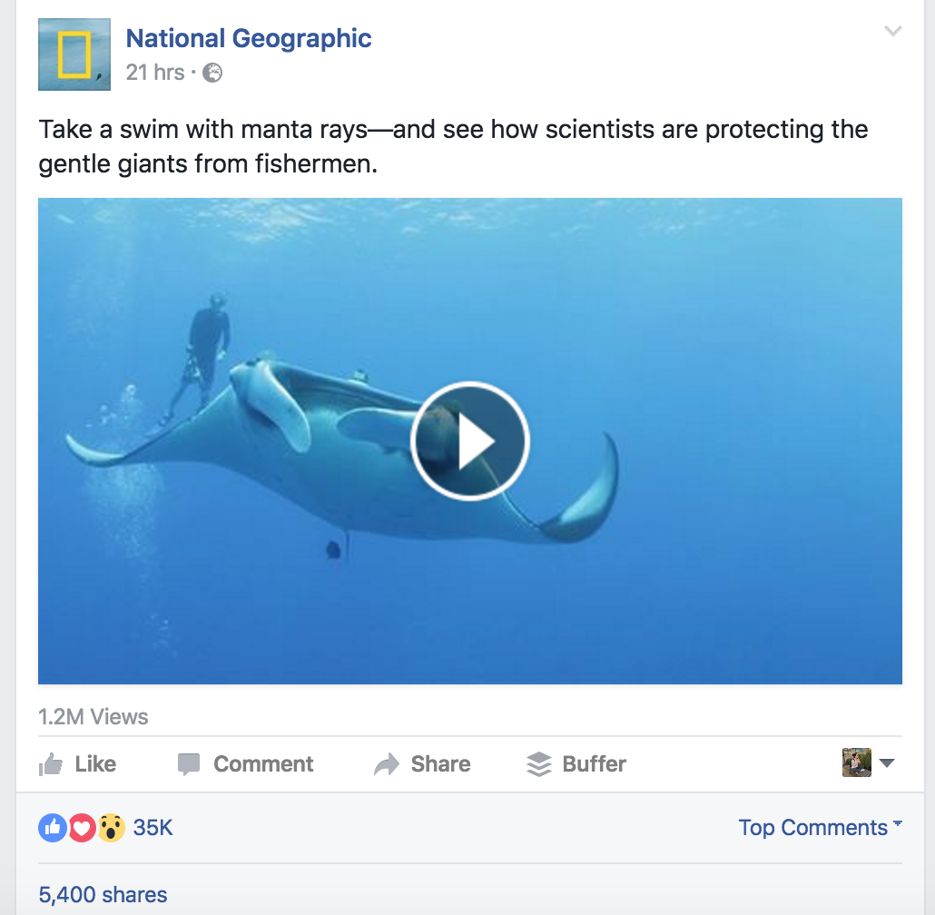 screen-shot-2016-09-21-at-00-05-20