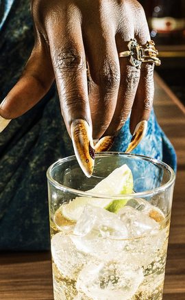 southern-comfort-gold-shark