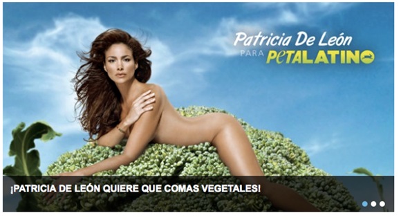 peta-latino peta-latino