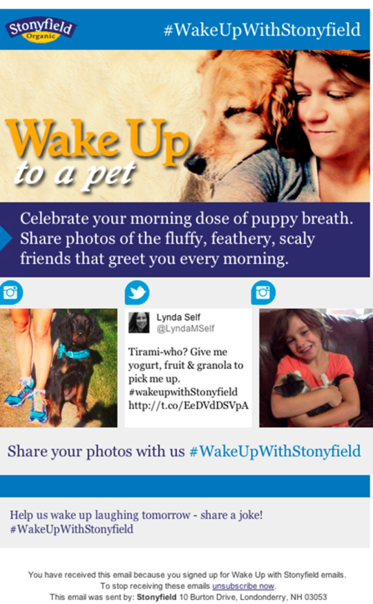 stonyfield1 stonyfield1