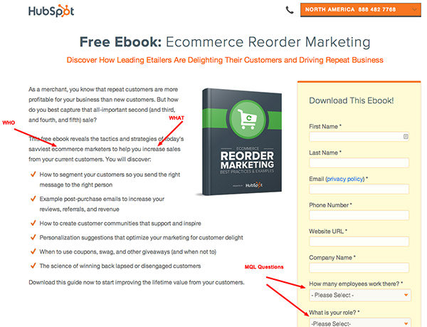 hubspot-example