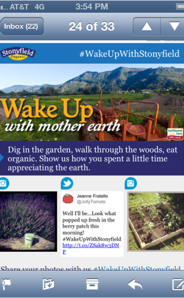 stonyfield2 stonyfield2