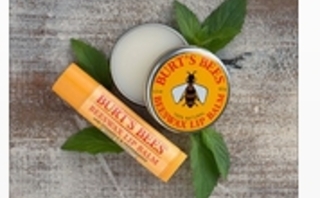 burtsbees4