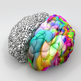 conversion-education