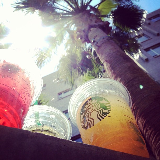 starbuckssocial starbuckssocial