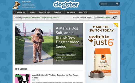 dogster dogster