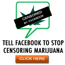 justsaynow-fb-censorship justsaynow-fb-censorship