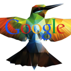 Google Hummingbird