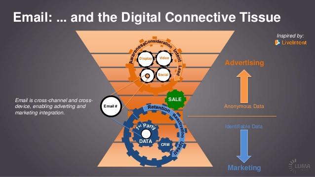 email-connective-tissue email-connective-tissue