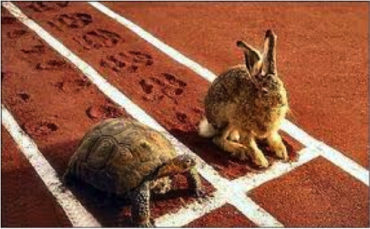 tortoise-hare tortoise-hare