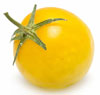 yellow-tomato