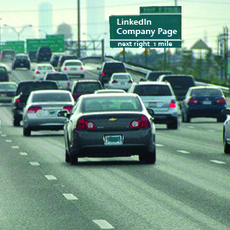 jasmine-sandler-company