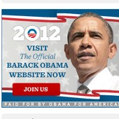 obama2012-visitwebsitenow8