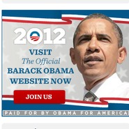 obama2012-visitwebsitenow8