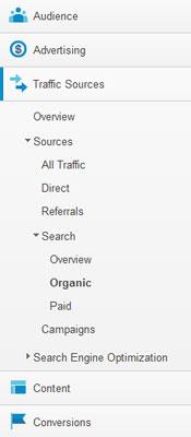 google-analytics-organic