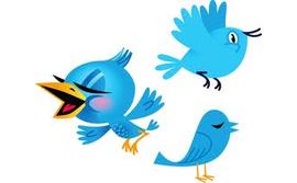 twitterbirds