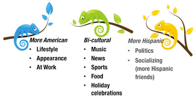 chameleons-interests