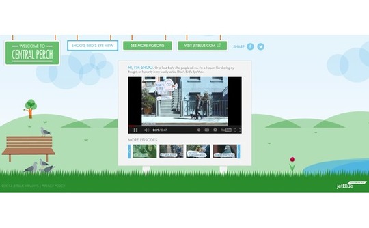 jetblue-centralperch jetblue-centralperch