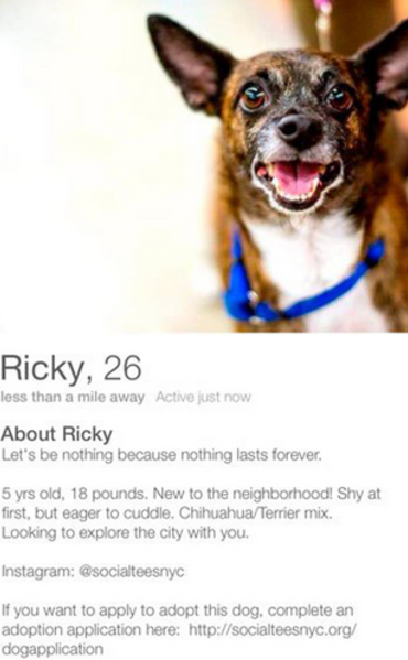 blaketinder blaketinder