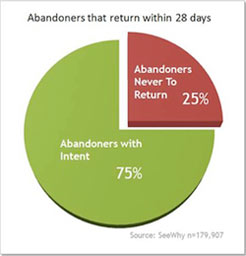 seewhy-online-buyer-behavior-research