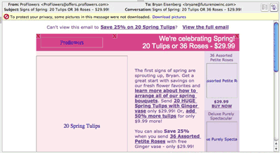 04.11.08 Eisenberg Proflowers screen shot
