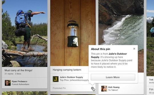 Pinterest Promoted Pin