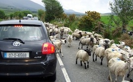 rush-hour-in-ireland