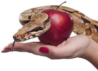 deadly-sins-social-content