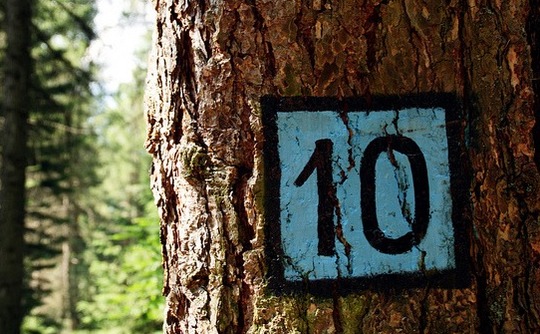 tree-number-ten tree-number-ten