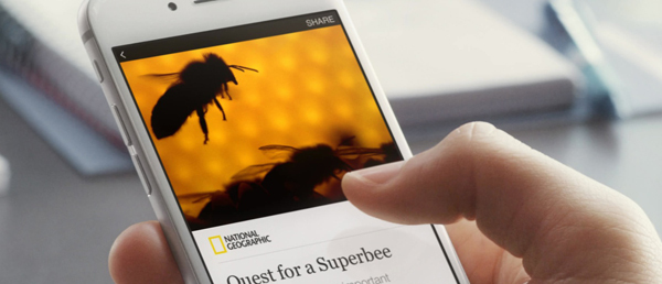 facebook-instant-article facebook-instant-article