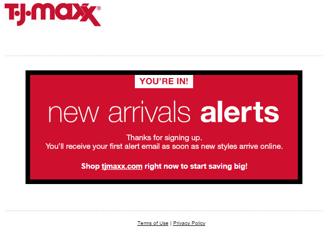 tj-maxx-landing-page-2