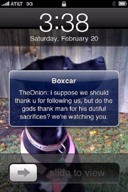 the-onion-thank-you-flickr-4373586013-306d05b133-o the-onion-thank-you-flickr-4373586013-306d05b133-o