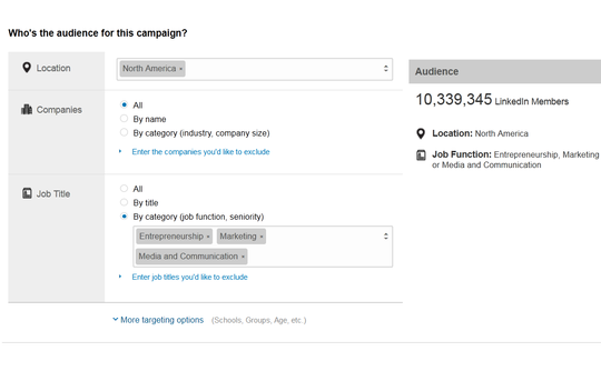 linked-in-audience-targeting